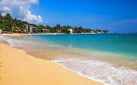 Happy Night Holiday Inn